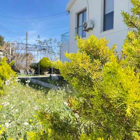 Denizim * Кирения